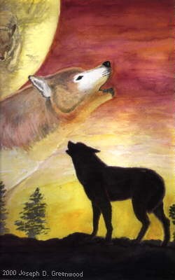 Twilight Calling