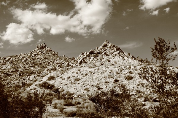 Yucca Valley Image 6
