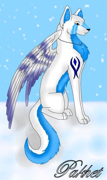 Arctic Poses in the snow