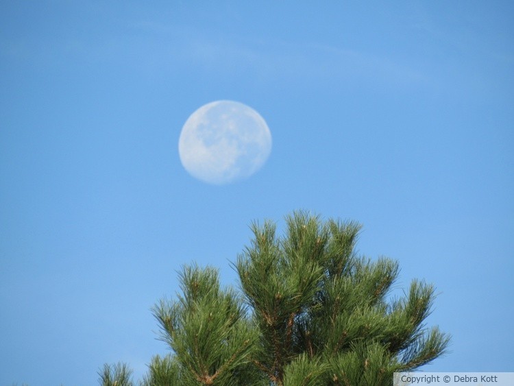 Daytime Moon