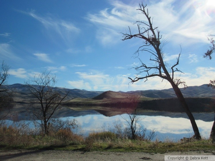 Landscape