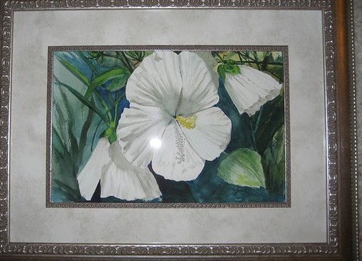 White Hibiscus - SOLD
