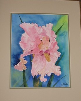 Pink Iris - SOLD