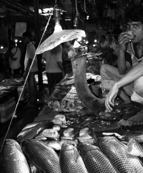 a cup of tea at a fishmarket