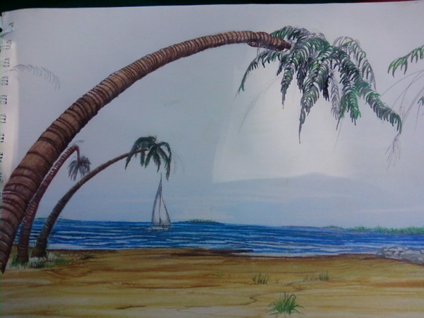 on the beach