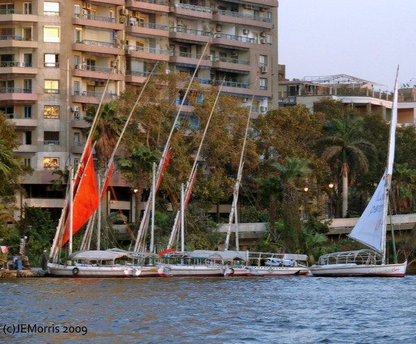 Feluccas(Boats)