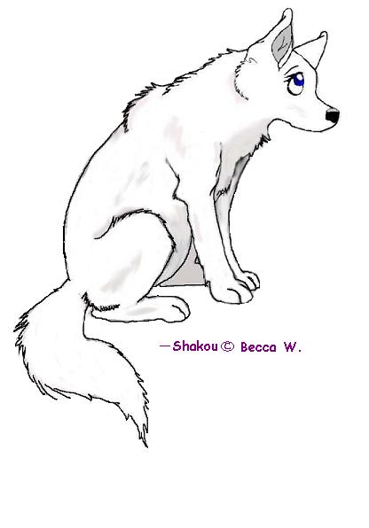 Shakou