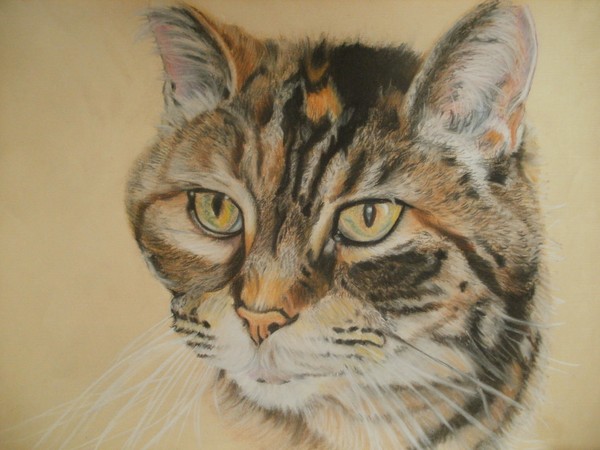 Pet portrait