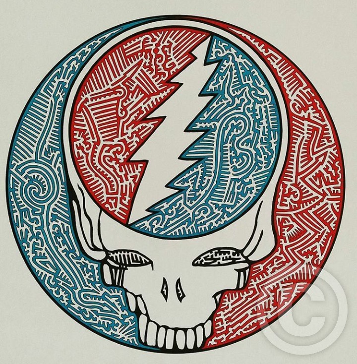 Steal your face!