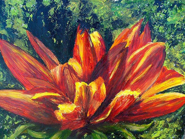 Red Sunflower