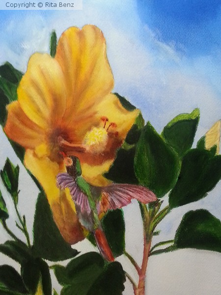 Hummingbird #1
