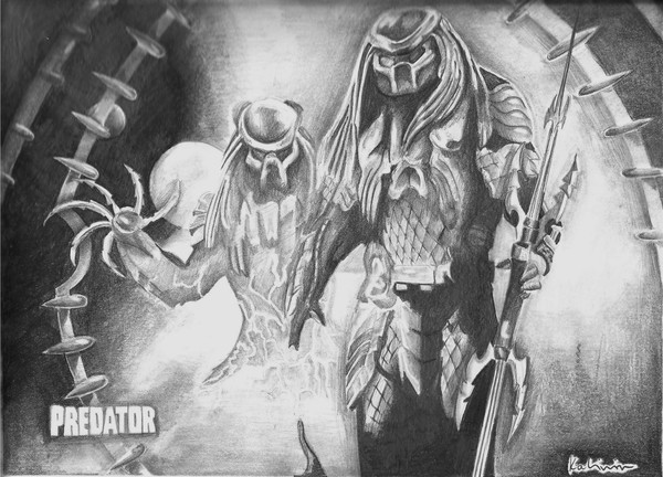 Predator