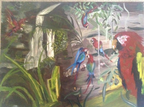 Macaws 