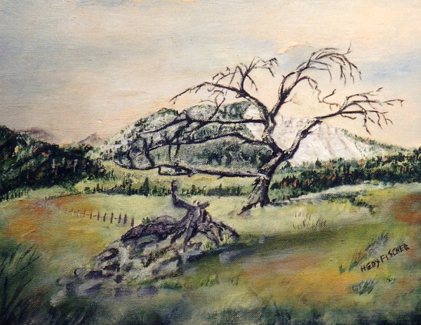 The Burmis Tree