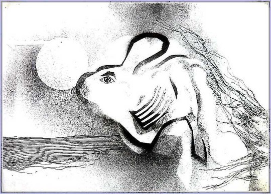 rabbit