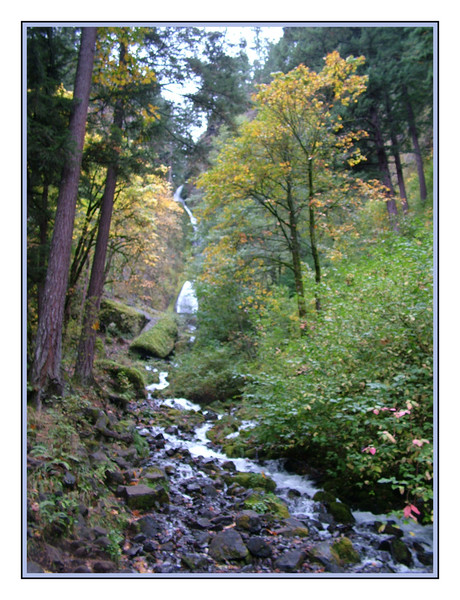 Water fall