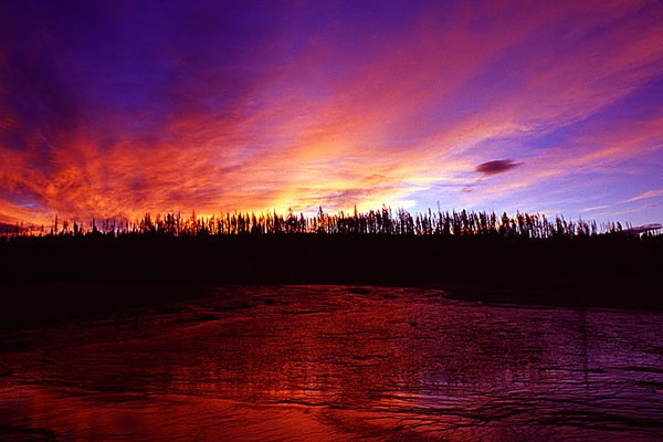 Sunrise Over Geyser Basin