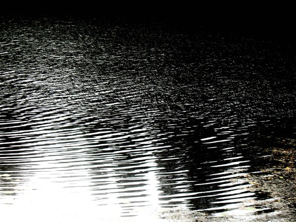 Moonlight sparkle