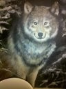 single wolf