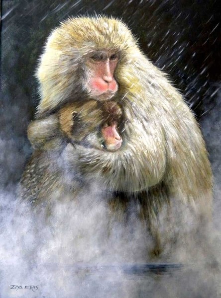 Snow Monkeys