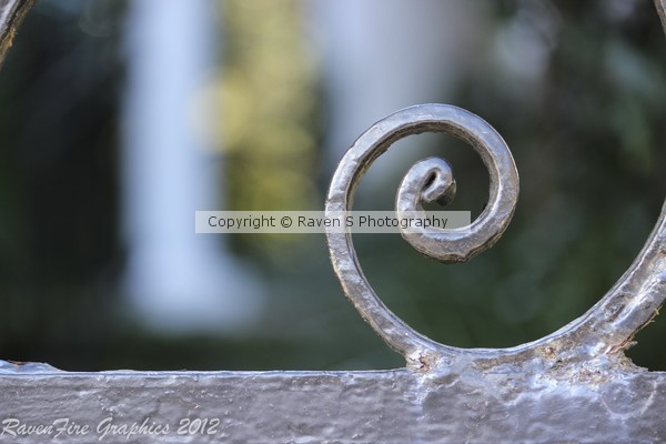 Iron Curl
