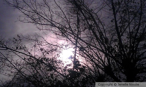 Shining Through