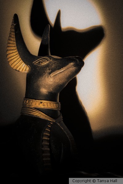 Anubis