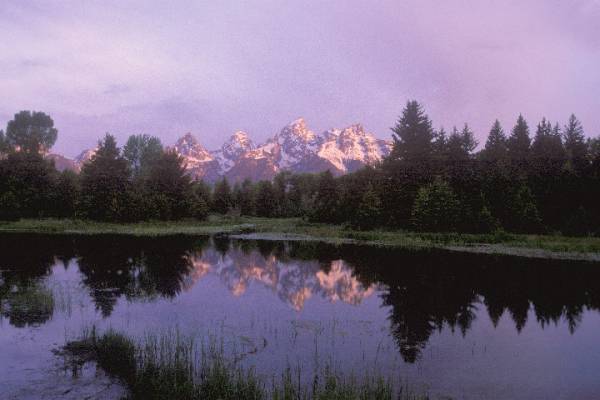 Teton Sunrise