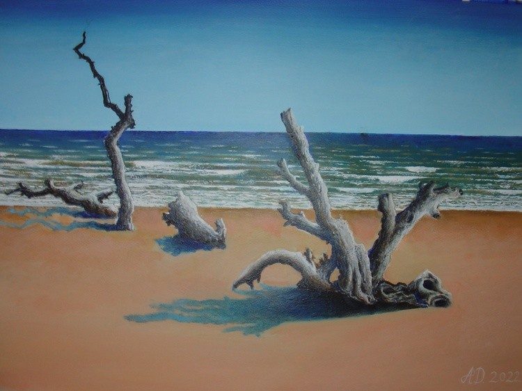 Shadows in the Sand