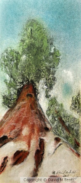 Nations Christmas Tree Sequioa Grant