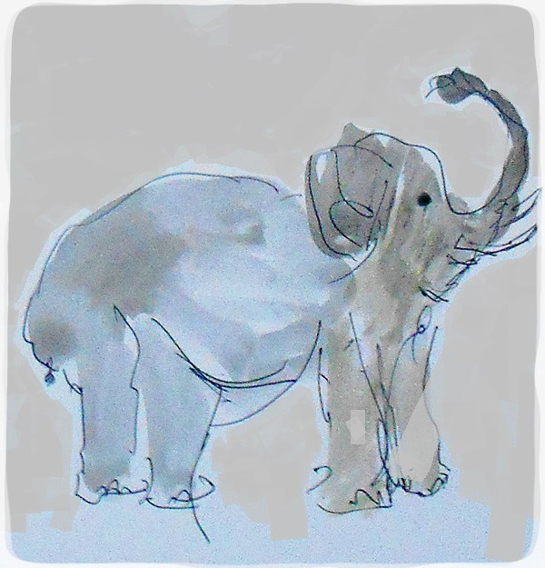 Elephant Sketch
