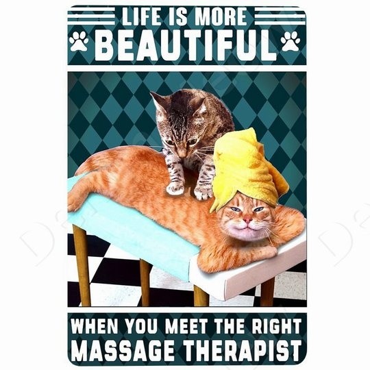 happycats (31)