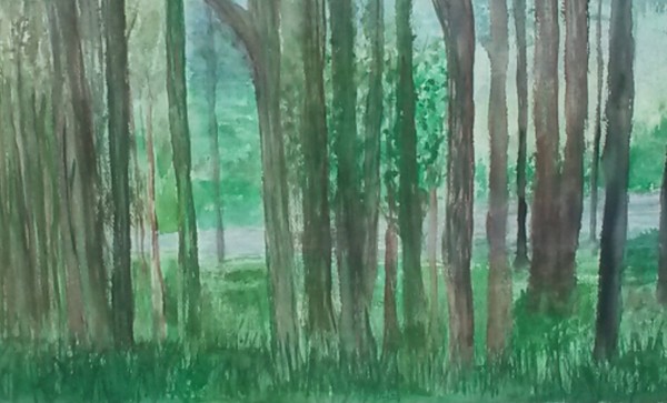 Green no. 1