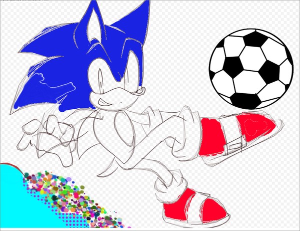 CrowdPainting.com - Sonic Color