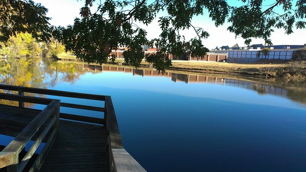 pond