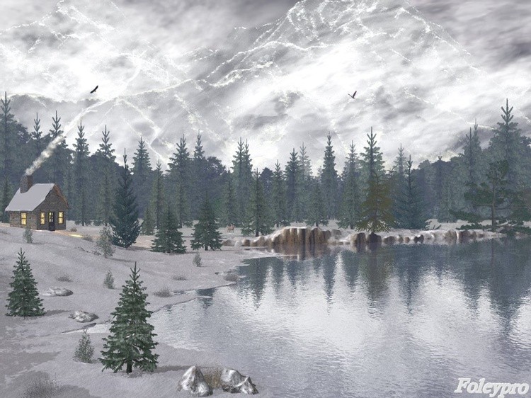 Winter Solace