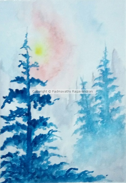 Winter Morning