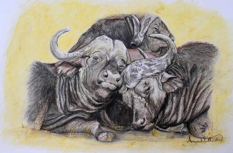 Life is Good - Buffs chilling out