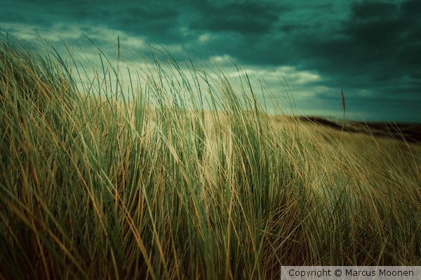 The Island #18