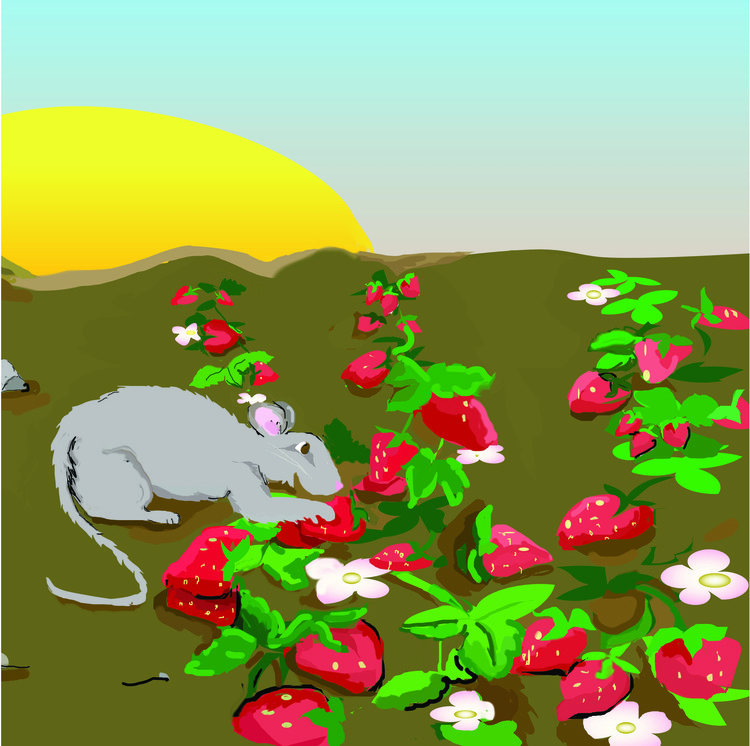 eating mouse right