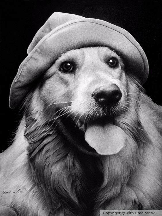 SCOUT
