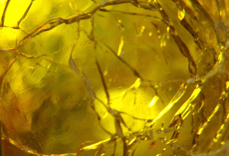 Glass of Gold