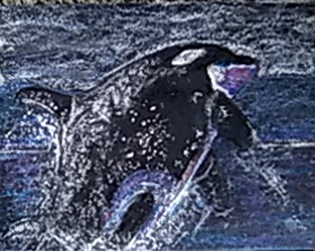 Orca Pastel