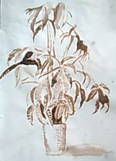 Money Tree Drawing