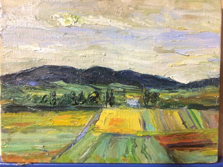 Fields in Bazaleti. Summer, 2018