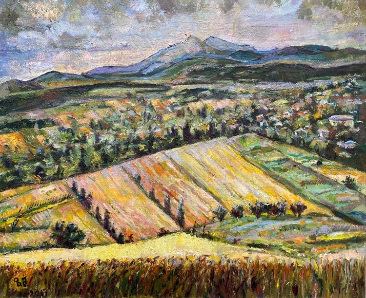 Bazaleti Fields at Twilight in July