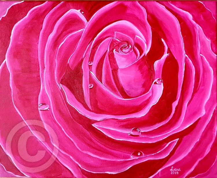 Rose