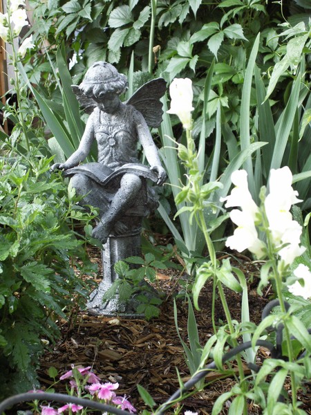 Garden Tour 5