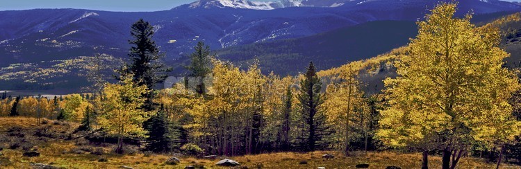 Rocky mountain fall