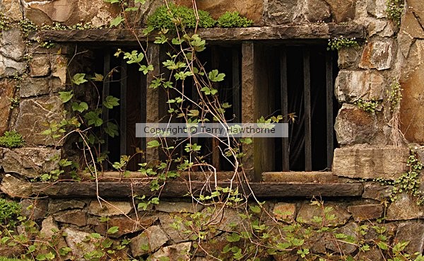 Window of Time